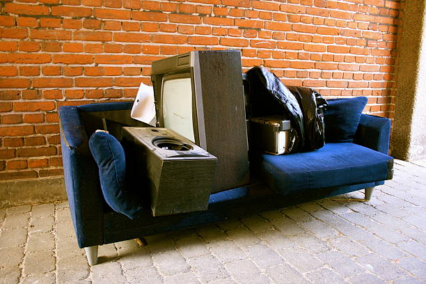 Best Professional Junk Removal  in Ladd, IL